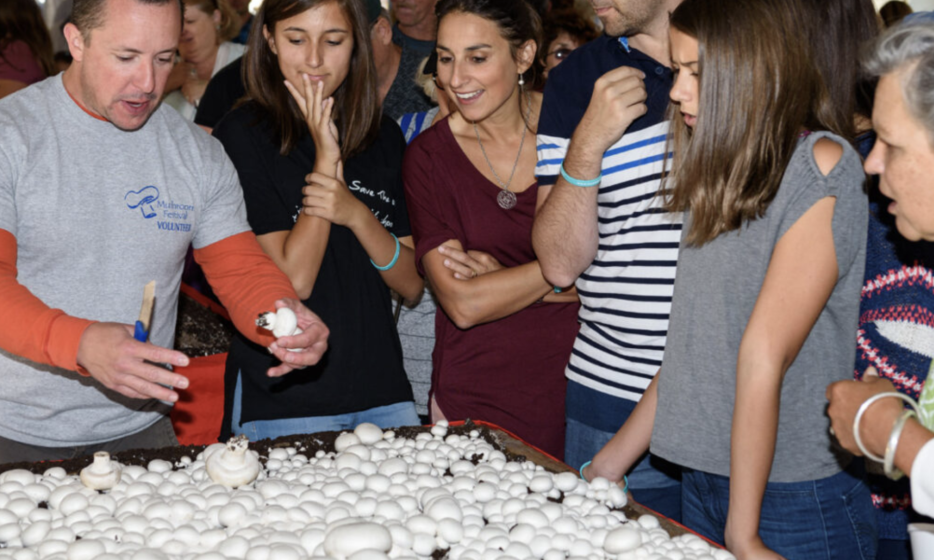 世界蘑菇之都本周末将举办第39届蘑菇节